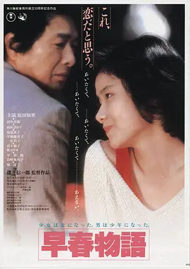 蜜桃电影《雾港回声》悬疑剧集海报